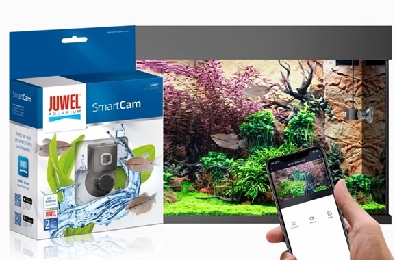 Besondere Geschenkideen aus Frankfurt: JUWEL SmartCam Aquarium-Kamera