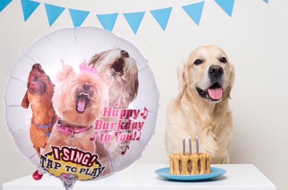 Geschenke aus Hamburg - Hoheluft-West: Musikballon für Hundefreunde