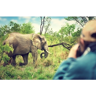 Besondere Geschenkideen aus Rellingen: Abenteuer-Safari
