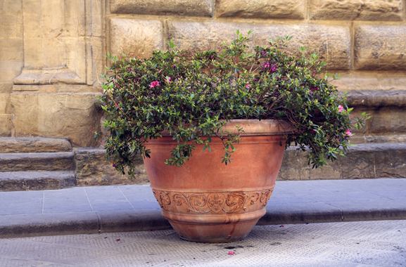 Besondere Geschenkideen aus Soltau: Blumenkübel
