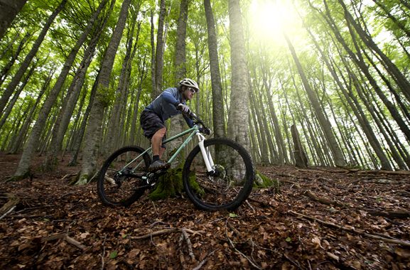 Besondere Geschenkideen aus Soltau: Mountainbike