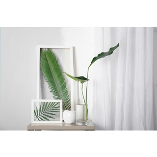 Besondere Geschenkideen aus Elmshorn: Gerahmtes Blatt hinter Glas