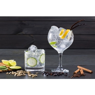 Besondere Geschenkideen aus Buxtehude: Gin-Tasting